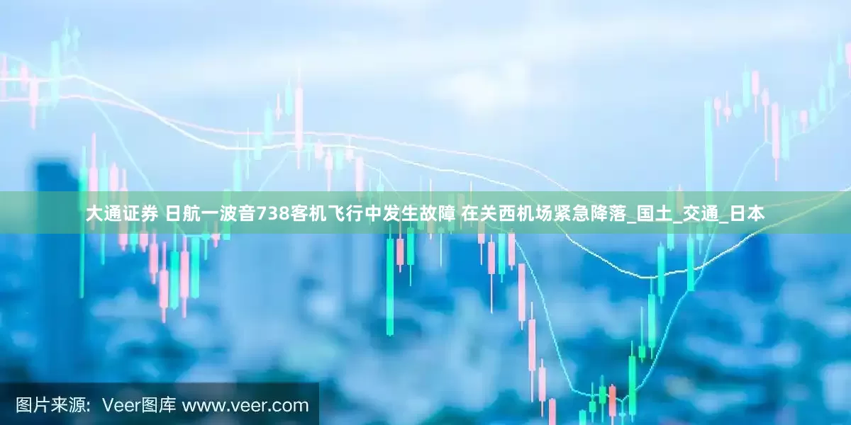 大通证券 日航一波音738客机飞行中发生故障 在关西机场紧急降落_国土_交通_日本