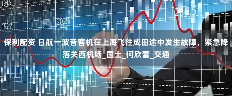 保利配资 日航一波音客机在上海飞往成田途中发生故障，紧急降落关西机场_国土_何欣蕾_交通