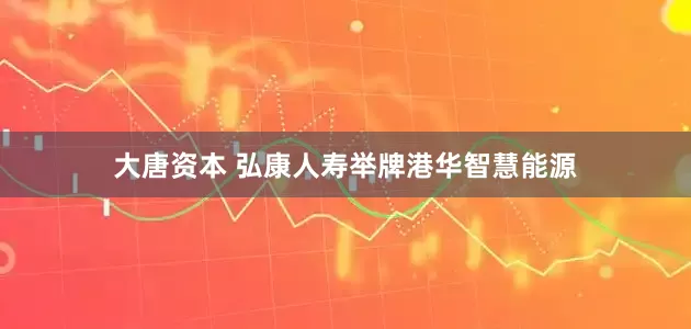 大唐资本 弘康人寿举牌港华智慧能源