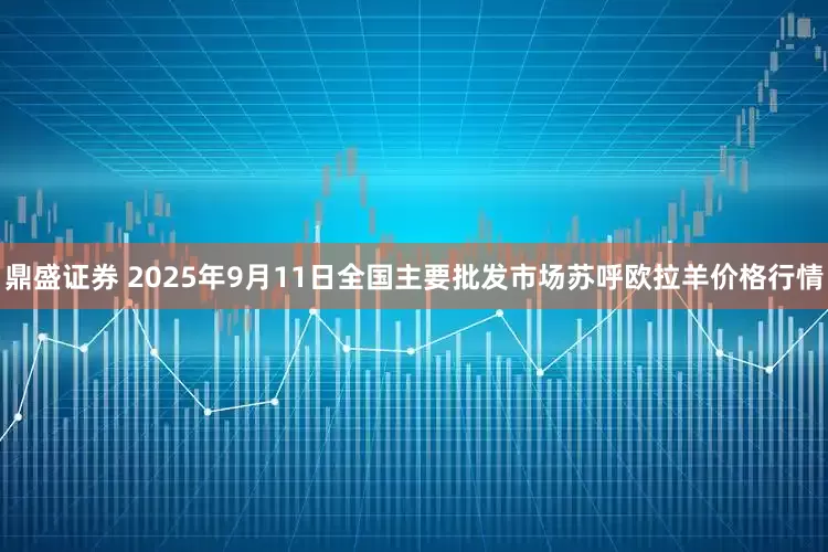 鼎盛证券 2025年9月11日全国主要批发市场苏呼欧拉羊价格行情
