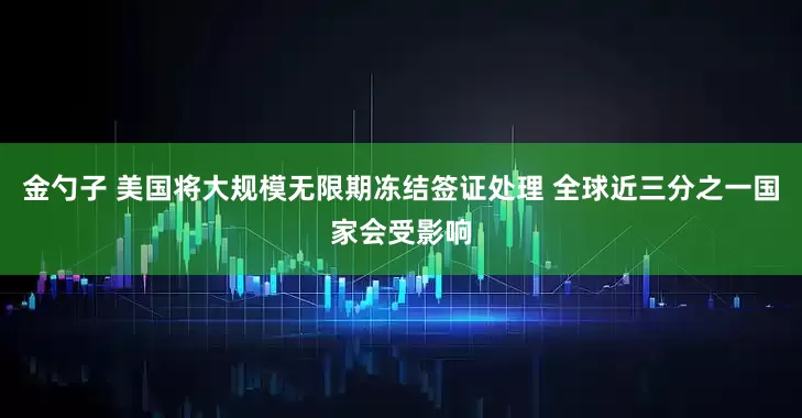 金勺子 美国将大规模无限期冻结签证处理 全球近三分之一国家会受影响
