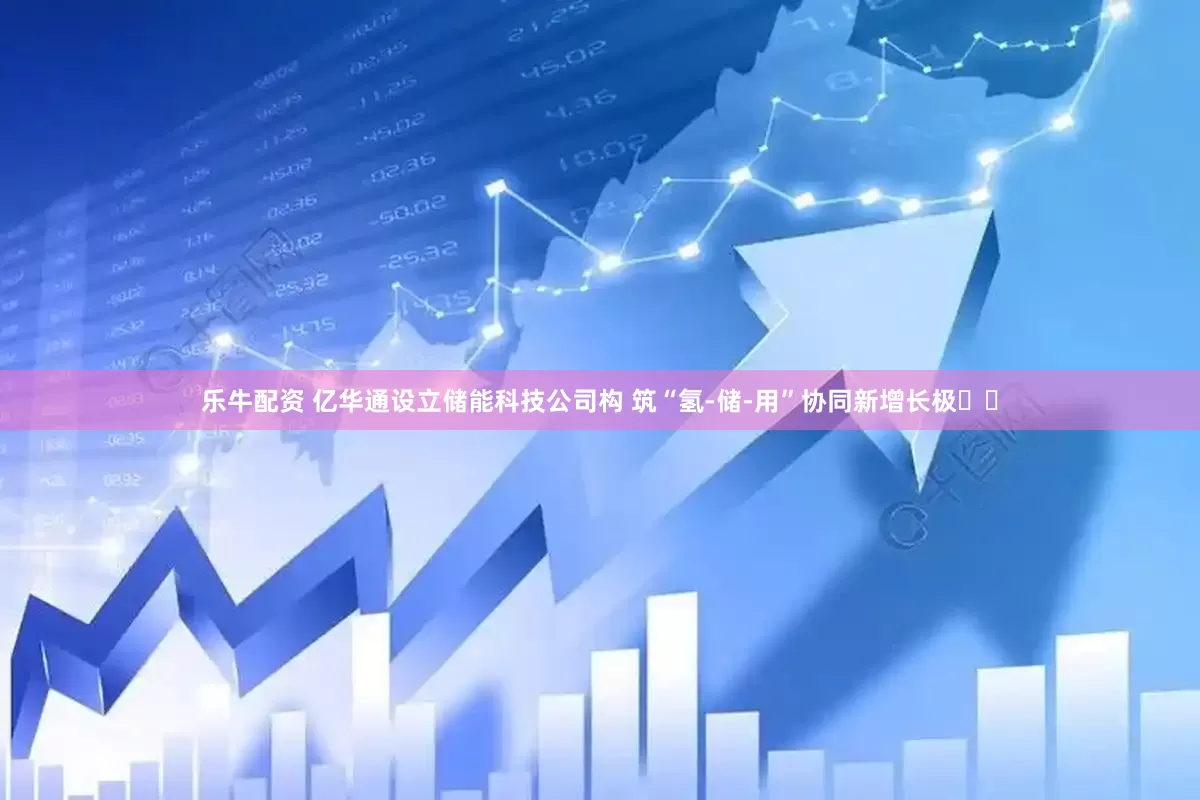 乐牛配资 亿华通设立储能科技公司构 筑“氢-储-用”协同新增长极‌‌