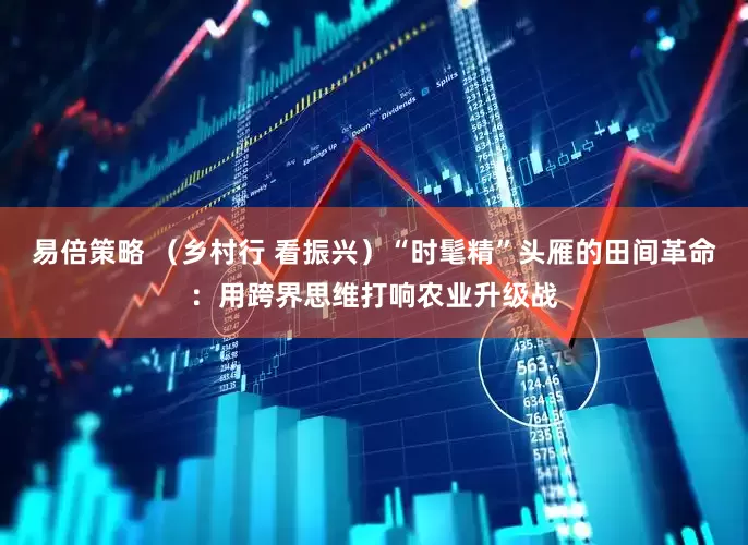 易倍策略 （乡村行 看振兴）“时髦精”头雁的田间革命：用跨界思维打响农业升级战
