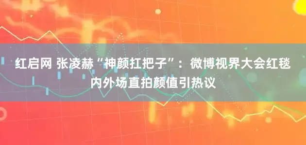 红启网 张凌赫“神颜扛把子”：微博视界大会红毯内外场直拍颜值引热议